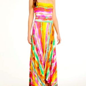 Felicity and Coco gently used dress